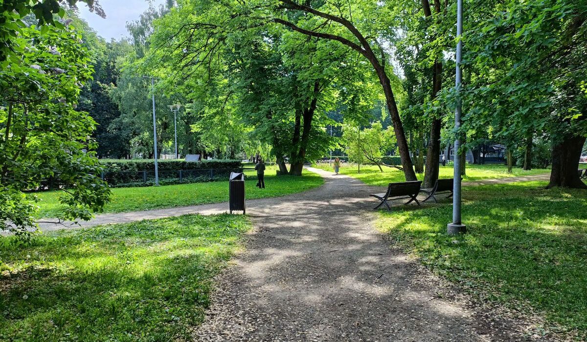 Lembitu park TLN linnaplaneerimise amet - Sisuturundus SEO