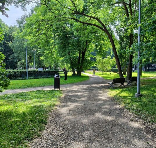 Lembitu park TLN linnaplaneerimise amet - Sisuturundus SEO