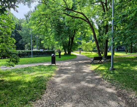 Lembitu park TLN linnaplaneerimise amet - Sisuturundus SEO