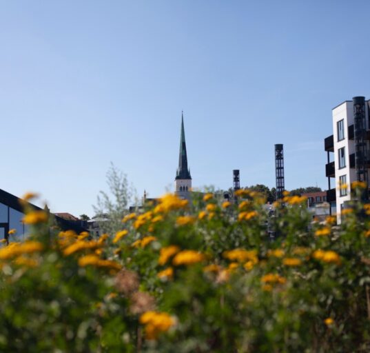 Kodu ostmine Tallinnas