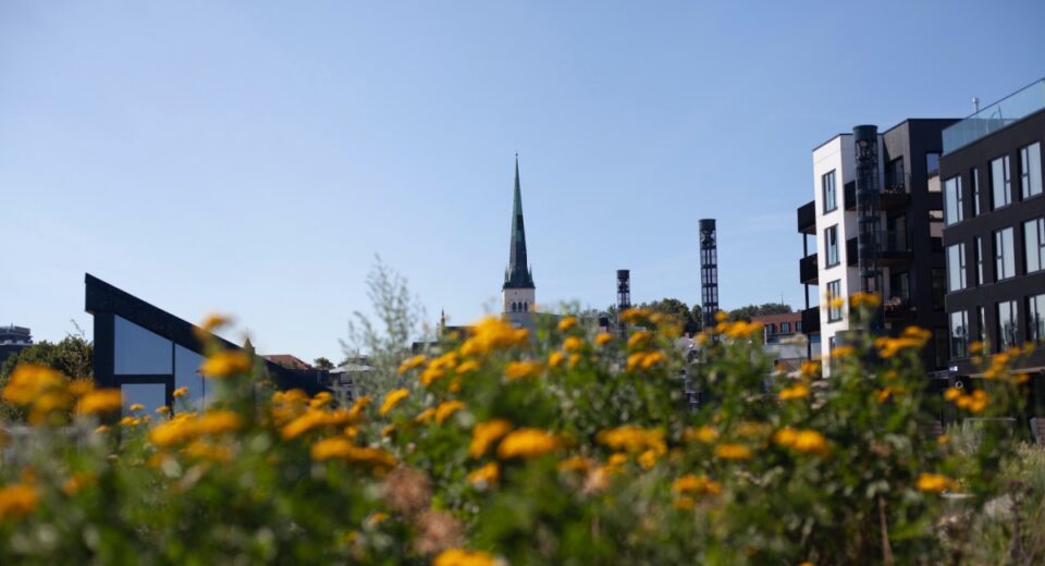 Kodu ostmine Tallinnas